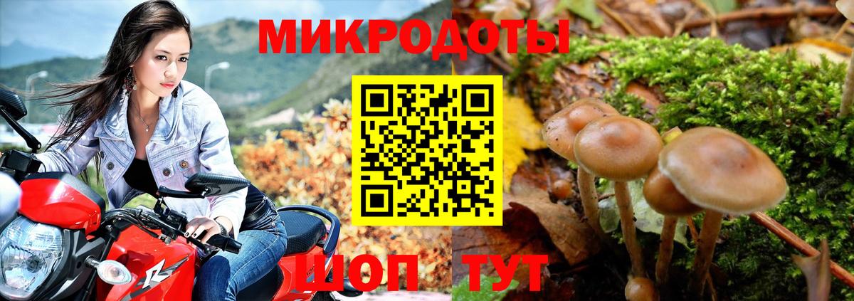 Светлоград  Псилоцибиновые грибы мицелий  Вход с VPN 